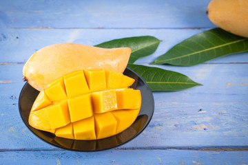 Mango with green leaves. The premium quality Mango (Nam Dok Mai) from thailand