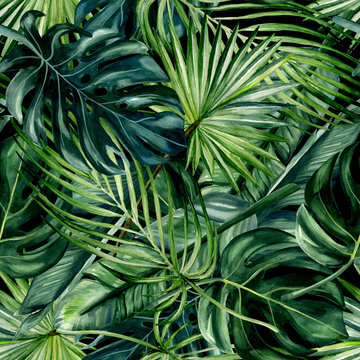 Watercolor hand drawn seamless pattern with green tropical leaves of monstera, banana tree and palm on black background.