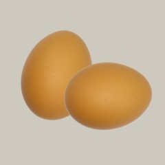 Brown chicken egg with isolated background, Brown chicken egg with different faces
