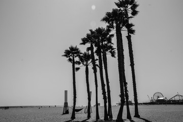 Santa Monica Beach