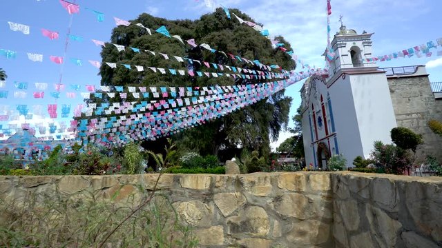 Static shot of a beautiful church next to the World’s Largest tree. Arbol del Tule. Temple of the Virgin Mary of the Assumption. Santa Maria del Tule, Oaxaca, Mexico. 