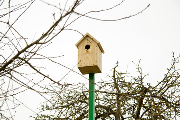 A new birdhouse on a green pole is installed near the trees. Birdhouse