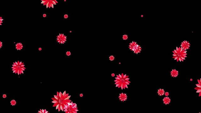 Beautiful red flowers flow on black background. Flower particles. 3D animation