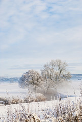 Fototapeta na wymiar a simple background landscape with snow covered fields and distant trees half obscured by mist