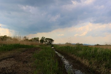 河川敷の道　渡良瀬　風景　杤木