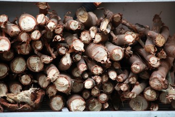 dry fire woods for household