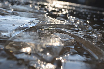 The first ice on a lake in Germany.