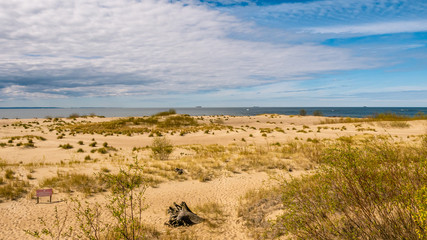 Beach dunes in the sun. Marine, land. Nature Reserve "Mewia Łacha". 