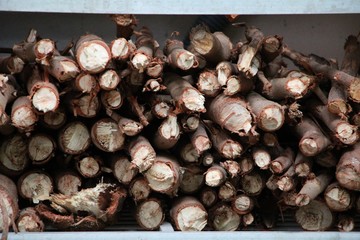 fire woods for household winter