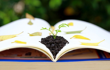 open book with plant