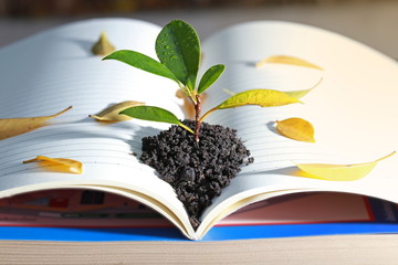 open book with leaves