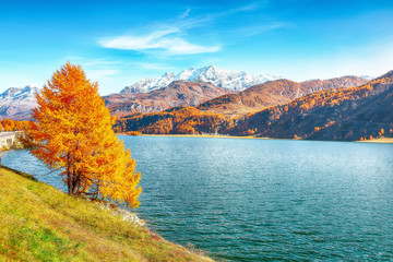 Astonishing autumn scene in Swiss Alps and views of Sils Lake (Silsersee).