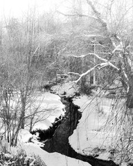 A narrow creek runs through a forest woodland surrounded by the winter snow with snow covered trees and falling snow.
