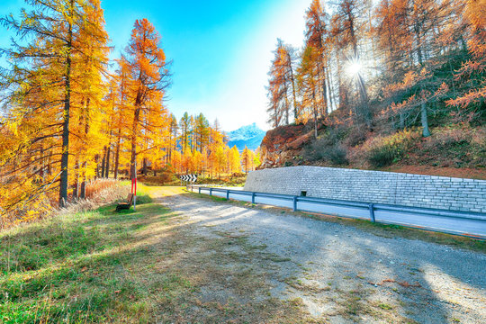 Awesome autumn scene near Maloja village and asphalt road on the shore of Sils lake(Silsersee).