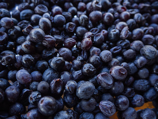 Black currant, dried fruit, grape fruit