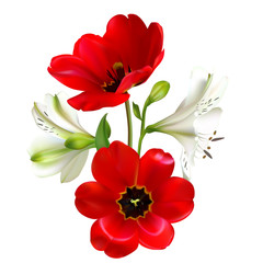 Flowers. Floral background. Bouquet. Red tulips. Lilies. Petals. White.