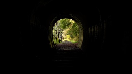 View of the trees from dark tunnel. Abandoned Fukuchiyama Railway
