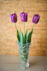 tulips in glass vase on table