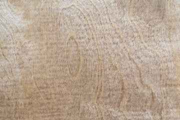 light texture of natural birch plywood, large abstract background