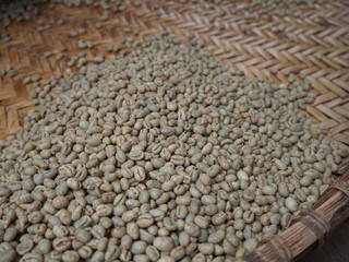 Cherry coffee beans of coffee, green coffee, Arabica coffee Thailand.