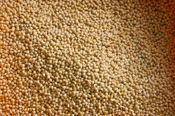Detail pattern of sesame seeds in light