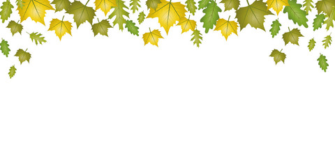 autumn green and yellow falling leaves on white background vector illustration EPS10