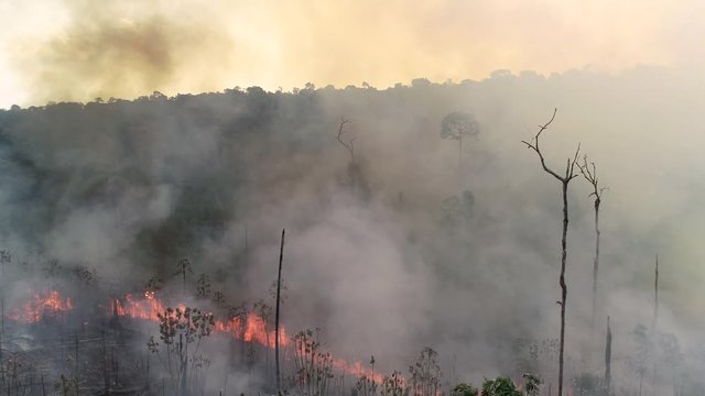 4k aerial fire amazon forest