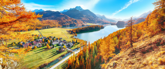 Stunning autumn scene over Sils im Engadin (Segl) village and Sils lake(Silsersee)