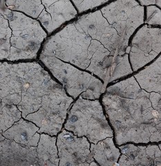 dry cracked earth
