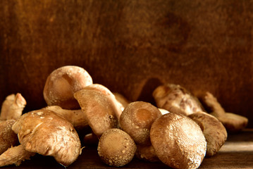 shiitake mushroom Lentinula Edodes on a wooden table