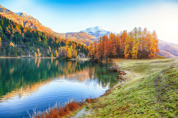 Fototapeta na wymiar Spectacular autumn view of Champfer lake.