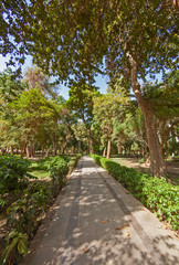 Fototapeta na wymiar Footpath through a large park botanical garden