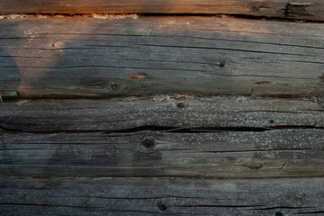 Fototapeta premium Old log wall, wood, background