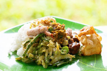 Soft focus on the green background and a close up of babi guling, a traditional Balinese dish