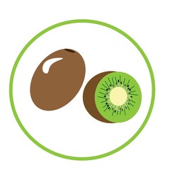 summer  kiwi fruit cartoon vector on white background.Kiwi whole fruit and half.