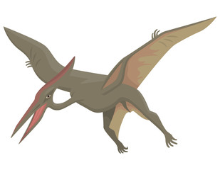 Fototapeta premium Pterodactyl in cartoon style. Predatory dinosaur isolated on white background.