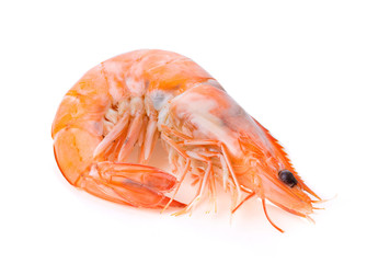 Cooked shrimps isolated on white background