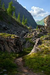 Landscape