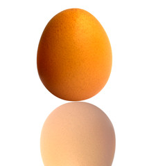 Eggs on a white background and Clipping path