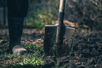 farmer with a shovel. shovel in the ground.