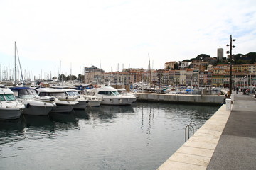 Fototapeta premium motor boats and yachts in the port of cannes, france,