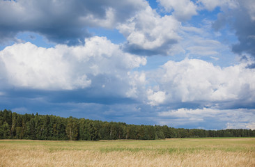 Obraz premium blue sky and clouds