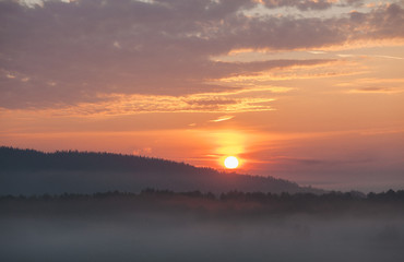 sunrise over the forest