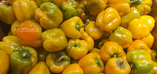 Fresh Yellow and green bell peppers