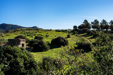 Ruined House Ruin Photographed in the Sardinian countryside