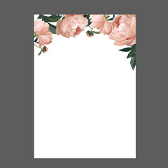 Peonies banner template. Hand drawn nature elements on white  background. Space for text. Vector.