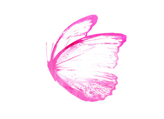 Color watercolor abstract butterfly as imprint, isolated on white background