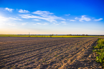 Plowed field and blue sky