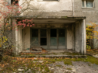 Fototapeta na wymiar Abandoned residental area and building. Previous roads and alleys are taken by trees and bushes. Ghost town of Pripyat, Chernobyl Exclusion Zone. Ukraine.