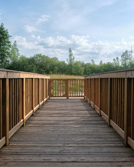 Brücke Holz Wald